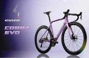 Modellübersicht Gusto Cobra EVO 2025-2026